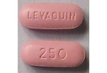Generic Levaquin (Levofloxacin) 250 mg