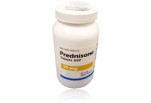 Generic Prednisone 10 mg